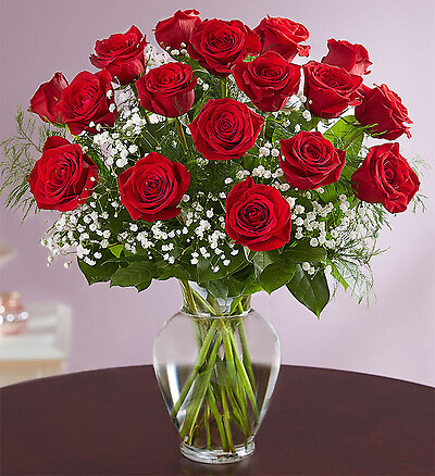 Rose Elegance&amp;trade; Premium Long Stem Red Roses