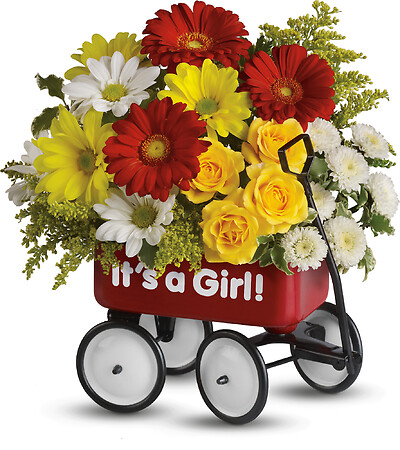 Baby&#039;s Wow Wagon - Girl