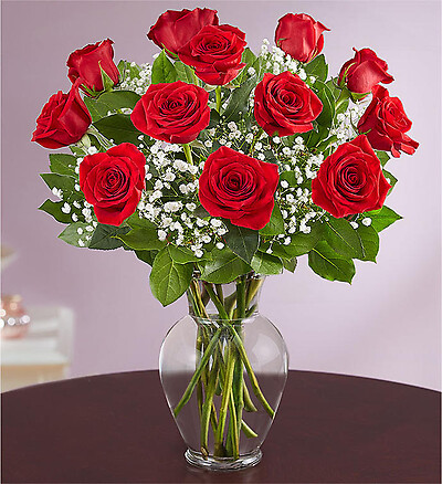 Rose Elegance&amp;trade; Premium Long Stem Red Roses